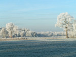 Winterlandschap